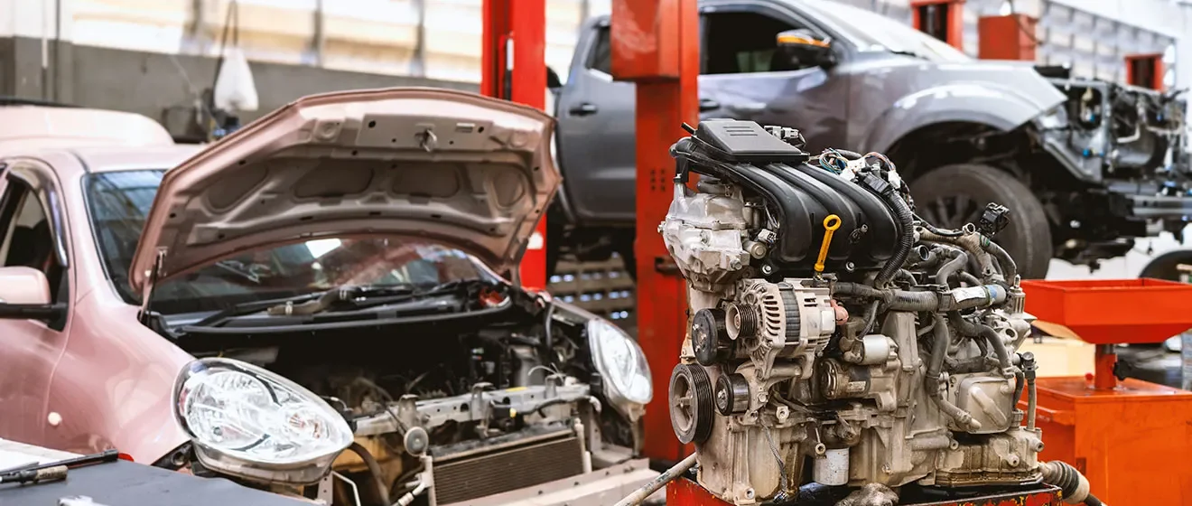 APM Parfums | Perfumes Originales y Exclusivos | Compra Fragancias Auténticas Online